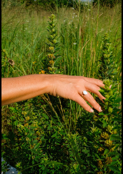 Opal Venus Split Ring